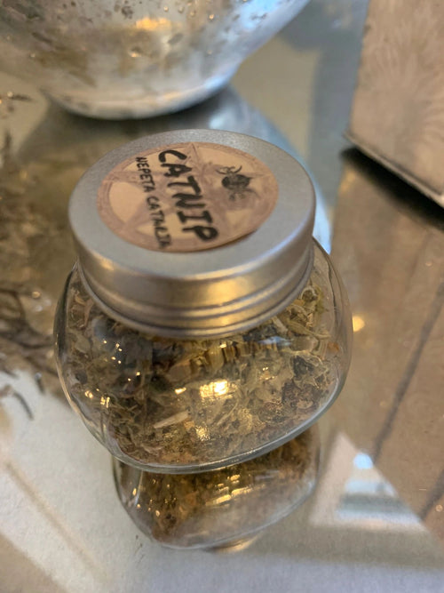 CATNIP HERB IN GLASS HERB BOTTLE (NEPETA CATARIA)