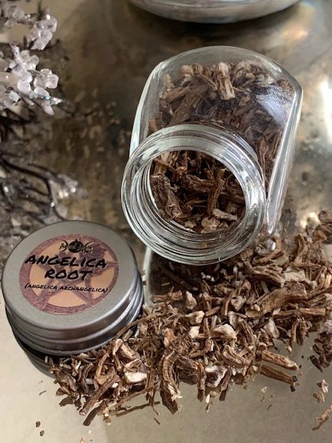 ANGELICA ROOT IN GLASS HERB BOTTLE
