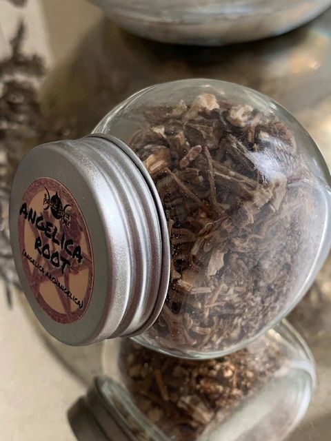 ANGELICA ROOT IN GLASS HERB BOTTLE