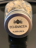 Echinacea in glass herb bottle