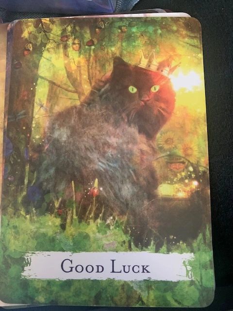 SPELLCASTING ORACLE CARDS WITH FREE TAROT BAG